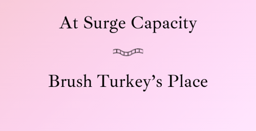 Two Poems by Bron&nbsp;Morrison