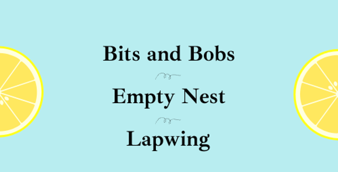 Three Poems by Allaana Bills